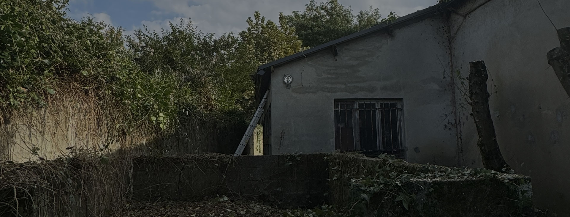 Service d'élagage près de Pau