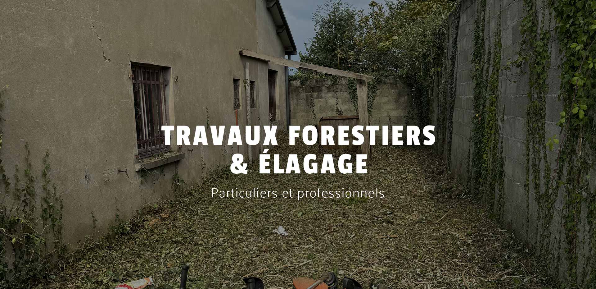 Élagueur grimpeur à Pau
