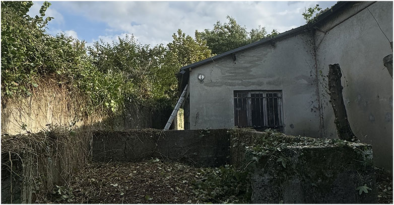 Élagueur grimpeur à Pau